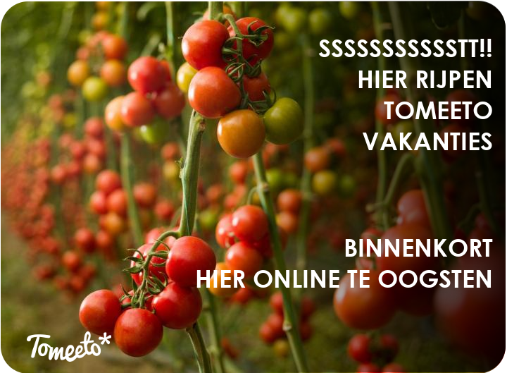 nieuw aanbod Tomeeto binnenkort online