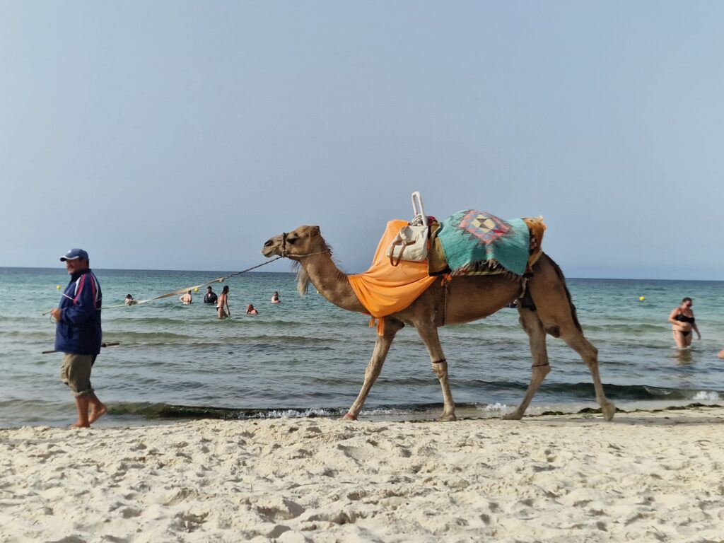 all-in eenoudervakantie Tunesië